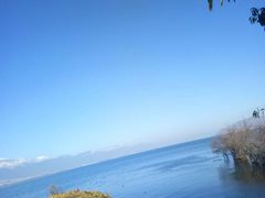 -野菌皇海景野生菌火锅(滨海大道店)