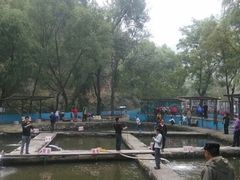 android_upload_pic-双新垂钓园