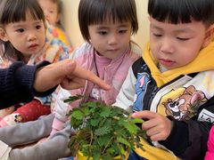 -奇乐全日制婴儿学校·早教