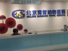 -北京观赏动物医院·24小时大型综合·猫专科·异宠专科