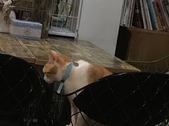 -小时光咖啡馆(北锣鼓巷店)