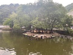 -黔灵山公园