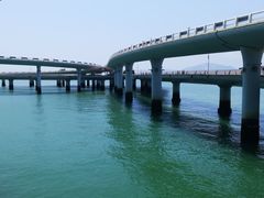-演武大桥观景平台
