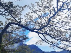 -梵净山旅游区
