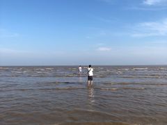 -南汇新城海滩