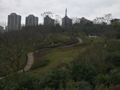 -金海湾滨江公园