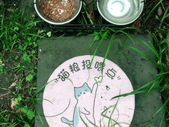 -静安公园(静安寺街道)
