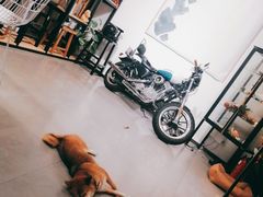 毛桃子-NOTBAD 须时·咖啡馆