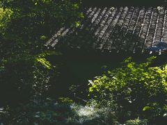 -法云安缦酒店