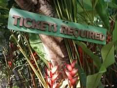 -大象粑粑造纸公园