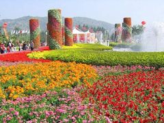 -东南花都花博园