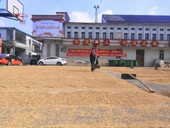 -大赤坎肥仔强烧味海鲜餐厅(大赤坎店)