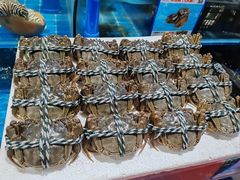 -新鸿港水果市场