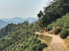 -杭州植物园