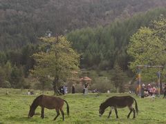 -硗碛藏寨·神木垒景区