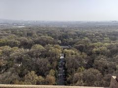 -灵谷景区