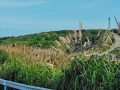 -东极岛景区