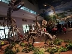 -自贡恐龙博物馆