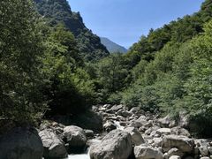 -青峰峡国家森林公园