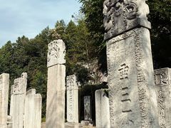 -徐州龟山景区