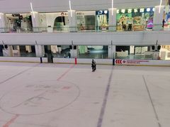 -炫采冰场(红博中央公园商场店)