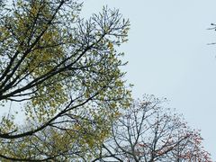 -中山公园