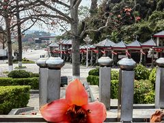 -友谊关景区