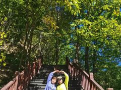 -洛阳白云山景区