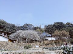 -福建天门山