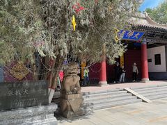 -张掖大佛寺景区