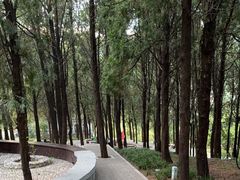 -泰山风景名胜区-虎山公园