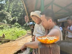 -西双版纳原始森林公园