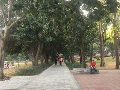 -南沙天后宫景区