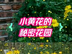 -火炉山森林公园