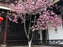 -苏州文旅花间堂·探花府酒店