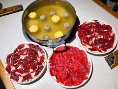 三花趾-汕头八合里海记牛肉店(清河店)