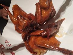 -鸽子侯·家宴·平价海鲜(市图书馆店)