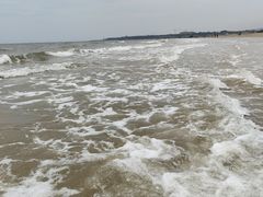 -日照海滨国家森林公园
