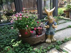 -谷咖啡·鲜花绿植花园餐厅