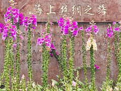 -洲头咀公园