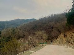 -北京鹫峰国家森林公园