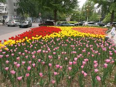 -北京邮电大学