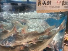 -老船舫·现做活鲜鱼馆(东郊记忆店)