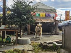 -鲁朗纳麦石锅鸡庄园