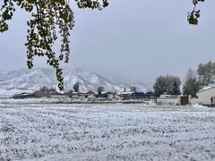 -扁都口生态休闲旅游区