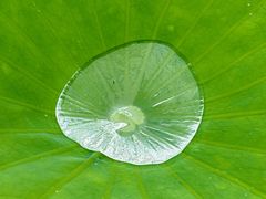 -陶辛水韵