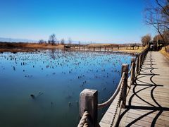 -野鸭湖国家湿地公园