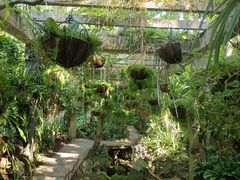 -中国科学院西双版纳热带植物园