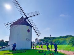 -济州森林小火车生态公园