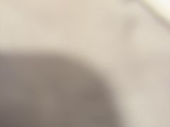 -阿源鱼捞斑鱼火锅·海鲜粥(山景尚宅店)